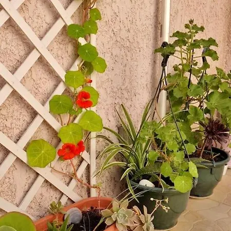 Vakantiehuis Maison De Charme - Proche Toutes Commodites *