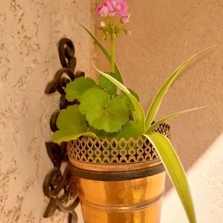 Vakantiehuis Maison De Charme - Proche Toutes Commodites Marseillan (Herault)